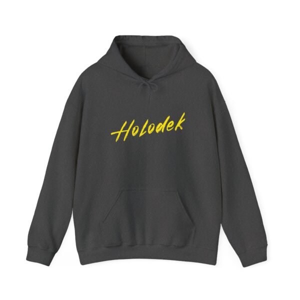 Holodek Grey Hoodie - Image 2